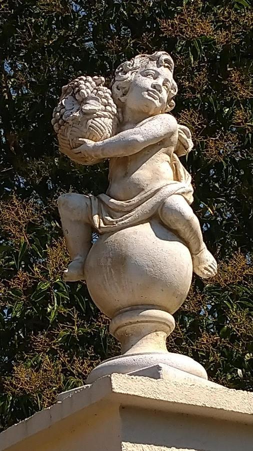 Le Clos du Cèdre Launac Esterno foto